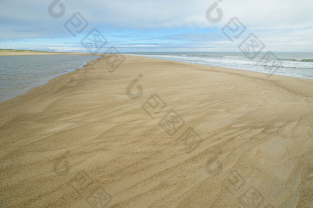 自然野生动物北部部分库页岛岛俄罗斯风景海景动物沙子随地吐痰皮尔顿