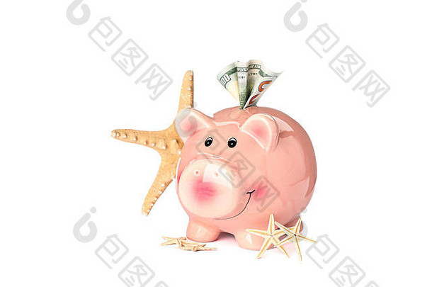 快乐小猪银行钱海星类孤立的白色背景金融储蓄钱