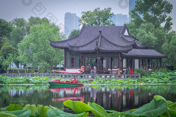 莲花粉红色的光紫色的浮动池塘背景中国人房子这是位于公园武汉湖北省中国