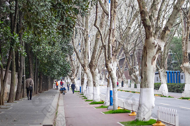 武汉湖北中国3月当地的人行道中心华中大学科学技术especiall这是新鲜的