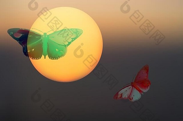 摘要神秘的背景不寻常的动物日落神奇的图片符号绘画背景屏保蝴蝶