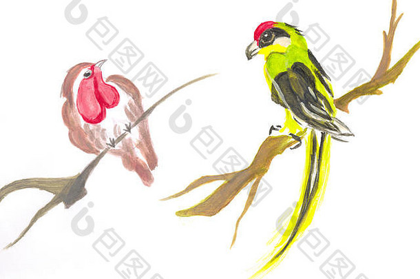 首歌鸟春天分支鹦鹉分支水彩绘画中国人风格