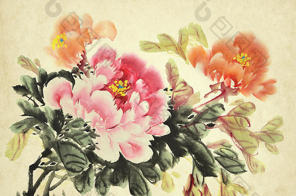 中国人绘画牡丹花传统的墨水洗画