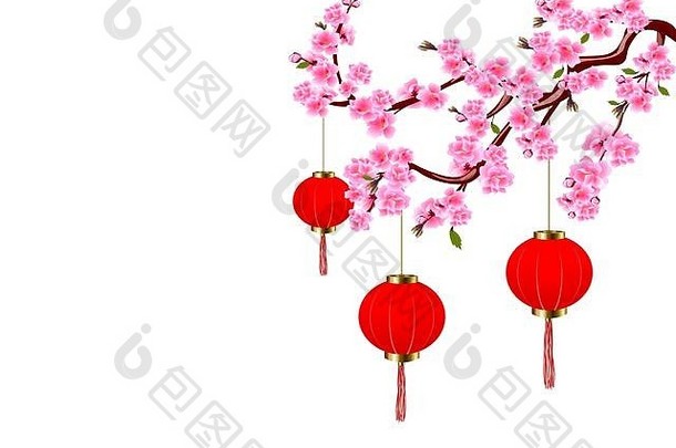 中国人一年樱花红色的灯樱桃花味蕾叶子分支插图