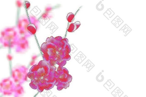 分支机构精致的粉红色的花味蕾樱花点孤立的白色背景插图