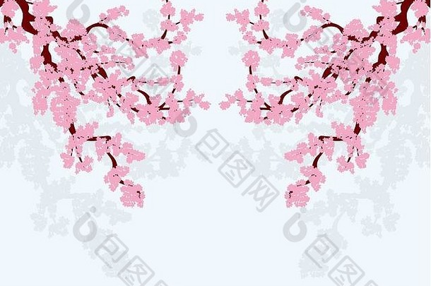 樱花程式化的弯曲的分支机构樱桃树粉红色的花樱桃味蕾阴影插画家孤立的