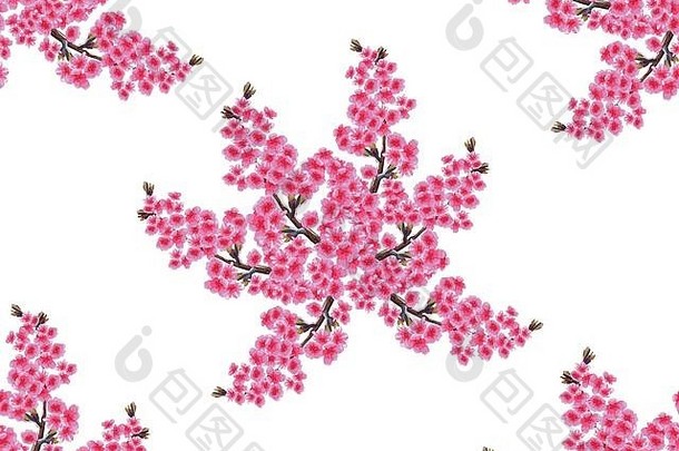 樱花花束精致的郁郁葱葱的紫色的花樱桃味蕾无缝的网梯度孤立的白色背景插图