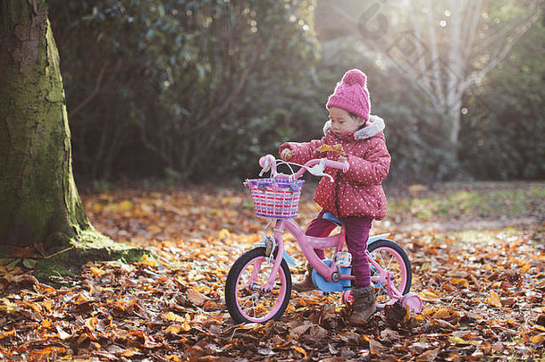 蹒跚学步的女孩消除自行车冬天农村公园北部爱尔兰