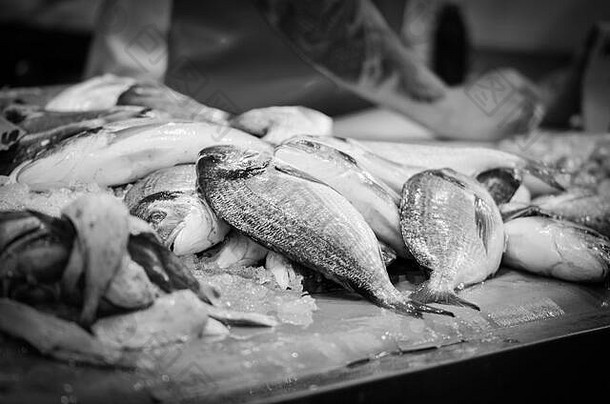 新鲜的混合海鲜鱼市场章鱼贝壳牡蛎虾鱿鱼鱼