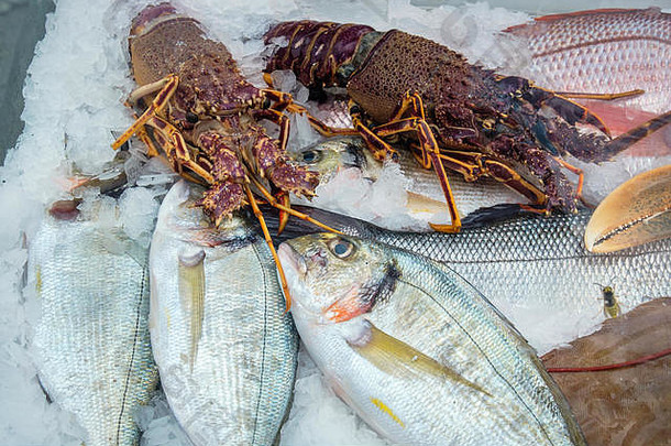 显示新鲜的鱼龙虾冰餐厅普拉塔莫纳斯皮埃里亚希腊