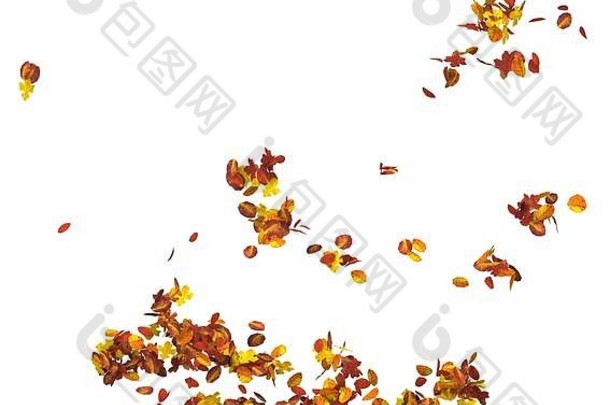 秋天叶子孤立的白色背景插图