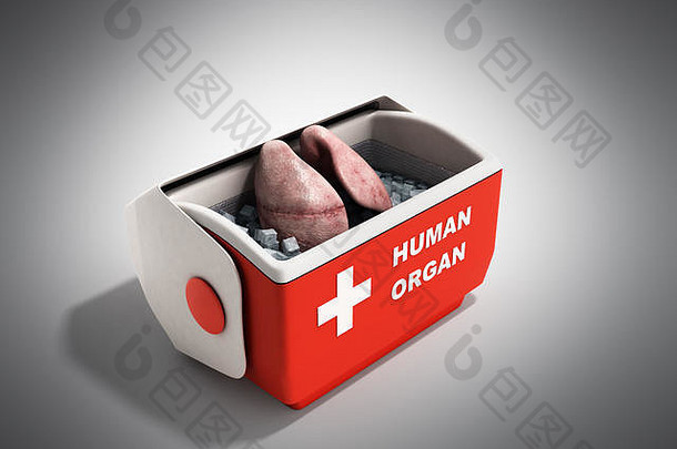 器官运输概念开放人类器官冰箱盒子红色的渲染灰色背景