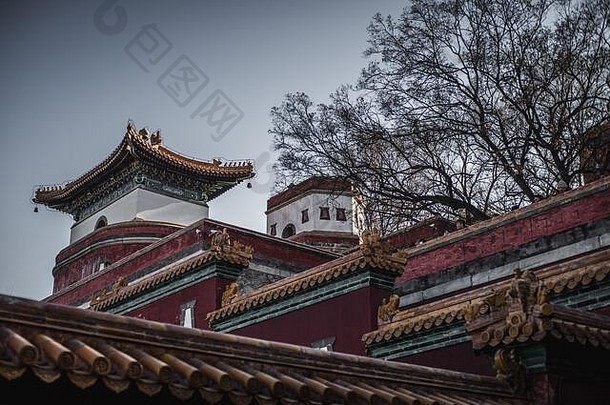 视图典型的红色的宝塔夏天宫最大保存完好的皇家公园北京中国