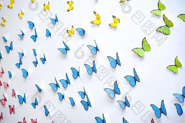 绿色蓝色的黄色的蝴蝶图形艺术流行白色清洁墙