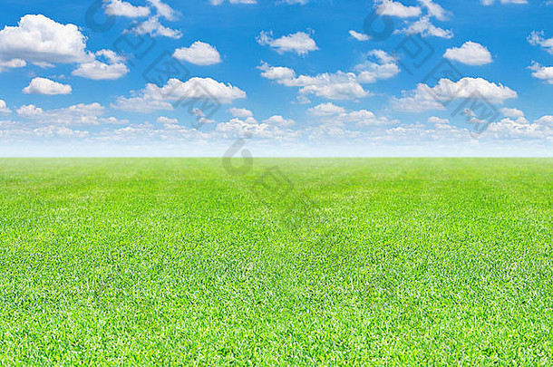 绿色场蓝色的天空背景