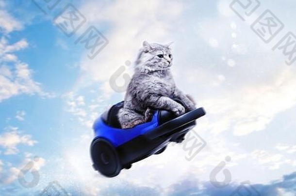 可爱的灰色的猫玩具车飞行蓝色的天空背景遵循梦想概念