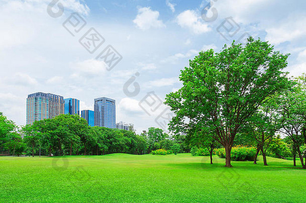 绿色草场大城市公园