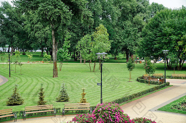公共公园草坪上板凳上绿色树的地方放松