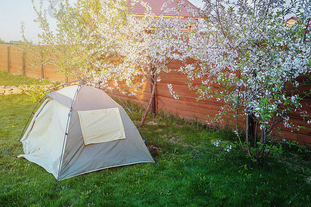 旅游帐篷开花花园草坪上春天阳光明媚的天气准备徒步旅行旅行检查库存
