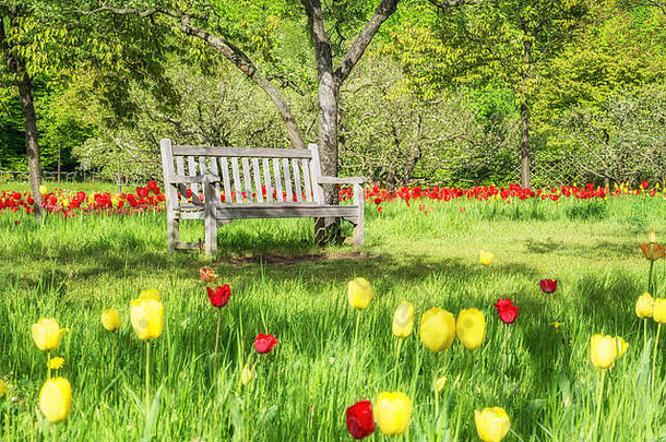 空木板凳上新鲜的绿色植物公园春天背景元素