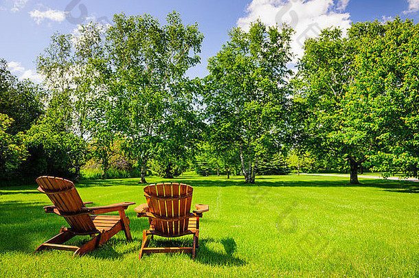 木阿迪朗达克椅子郁郁葱葱的绿色草坪上树