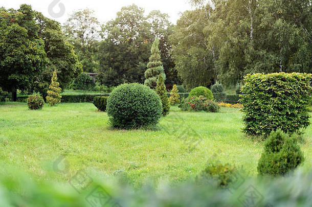 公园灌木绿色草坪景观设计修剪成形的绿色装饰公园