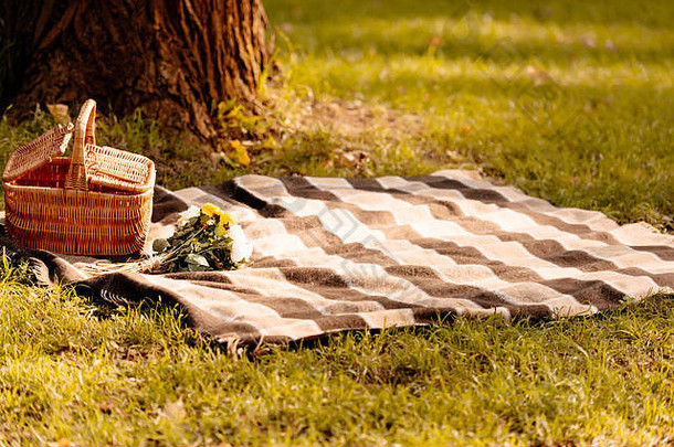 野餐毯子篮子