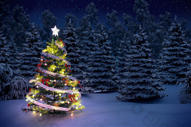 闪亮的圣诞节树雪覆盖树晚上