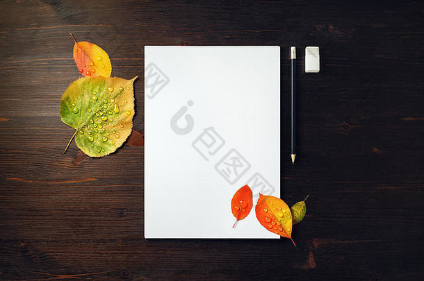 空白信头铅笔橡皮擦明亮的秋天叶子水滴木背景平躺