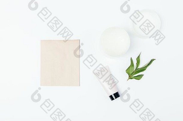 化妆品皮肤护理产品面霜有机空白纸卡新鲜的绿色叶白色背景平躺