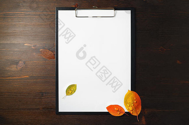 空白信头剪贴板明亮的秋天叶子水滴木背景复制空间文本平躺