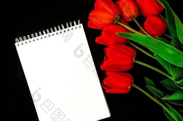 白色空白哀悼卡红色的郁金香黑暗背景新鲜的花空的地方文本