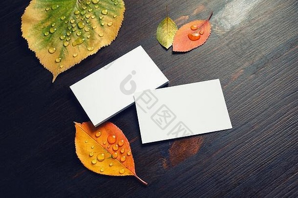 照片空白白色业务卡片叶子木背景