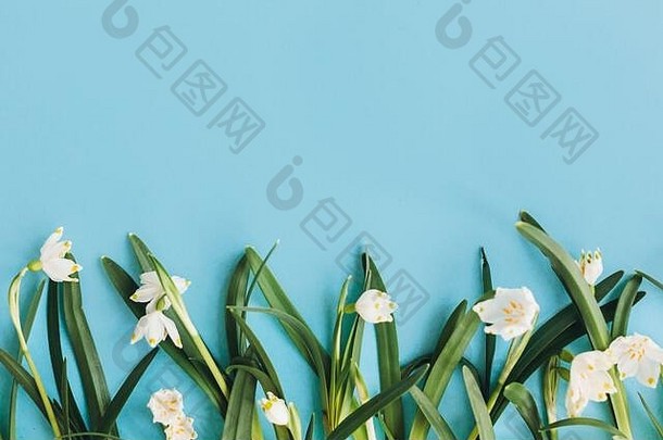 白色花蓝色的平躺花时尚的边境新鲜的春天花复制空间春天时尚的问候卡快乐女人的一天