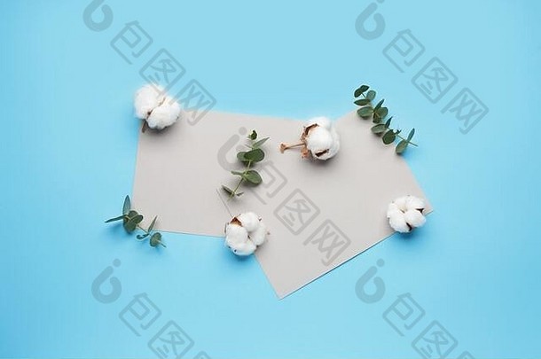 空白卡片美丽的棉花花桉树叶子颜色背景