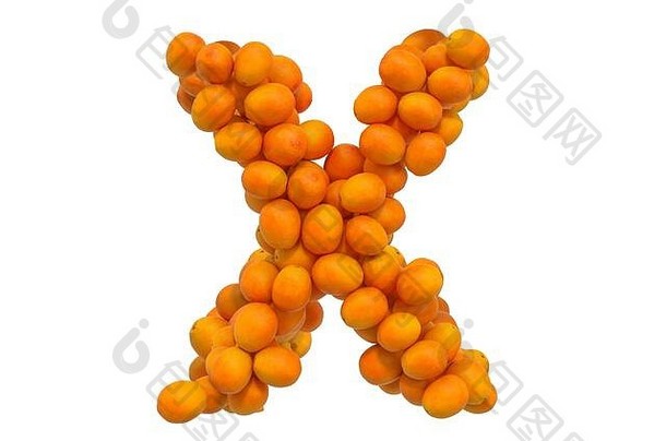 信橙子呈现孤立的白色背景