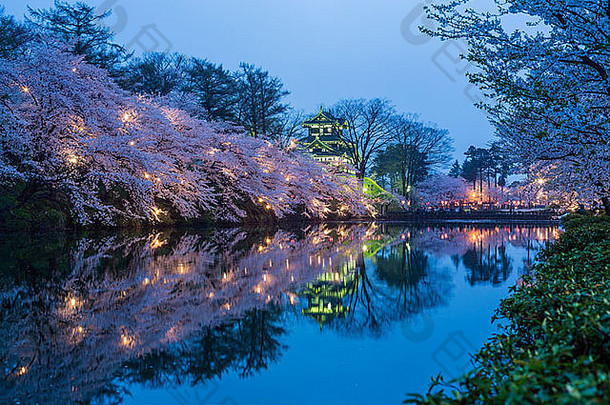 樱桃花朵高田城堡日本晚上