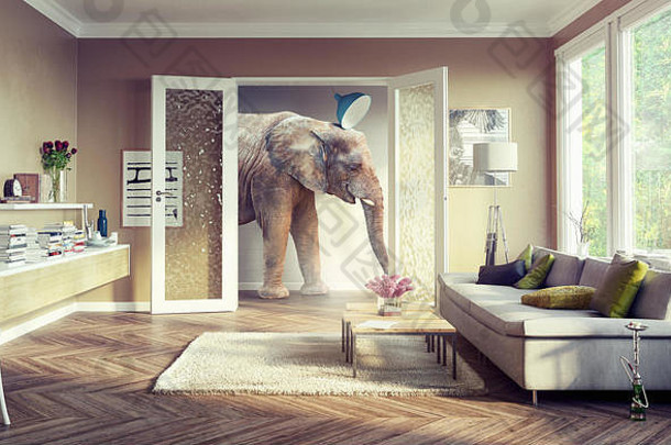 大大象走公寓房间概念
