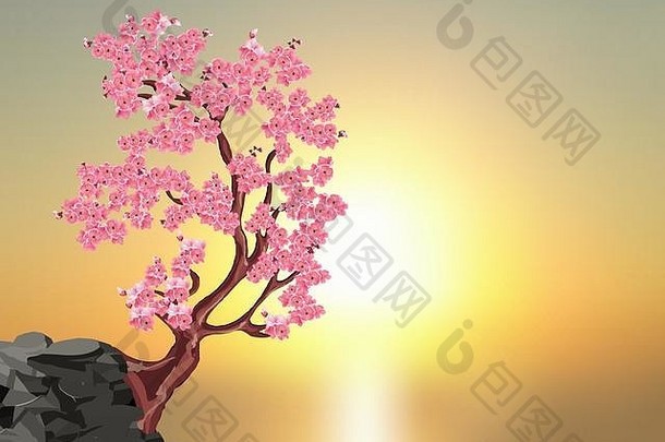 樱花花朵树粉红色的樱桃石头背景美丽的日落插图