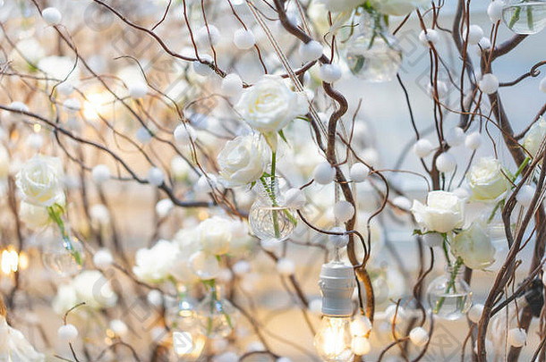 白色玫瑰背景背景装饰舒适的分支温暖的光