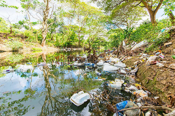 绿色河银行树完整的垃圾垃圾圣人星期天共和国多明尼加