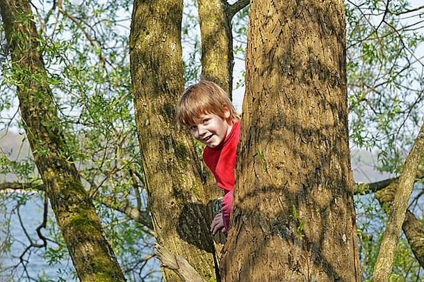 年轻的男孩攀爬树