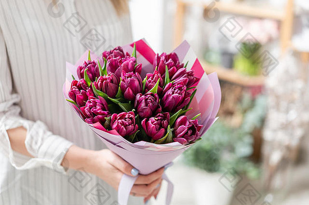 花束紫罗兰色的郁金香春天花荷兰园丁概念花店花商店壁纸