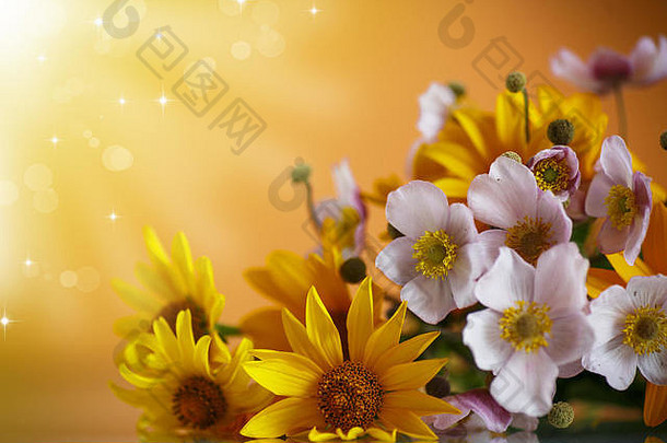 夏天花束黄色的雏菊