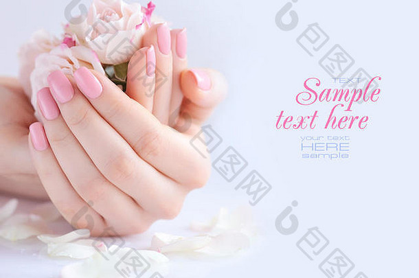 手女人粉红色的修指甲指甲玫瑰白色背景
