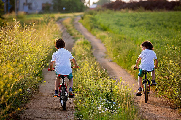 运动孩子们男孩兄弟骑自行车农村景观日落