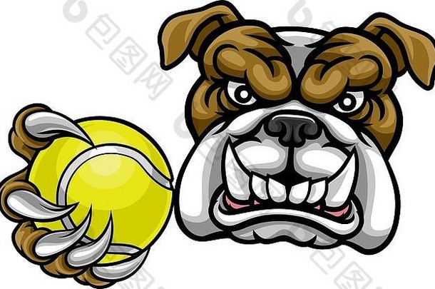 斗牛犬狗持有网球球体育吉祥物