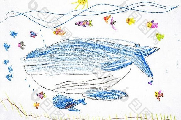 蓝色的鲸鱼小猫水世界