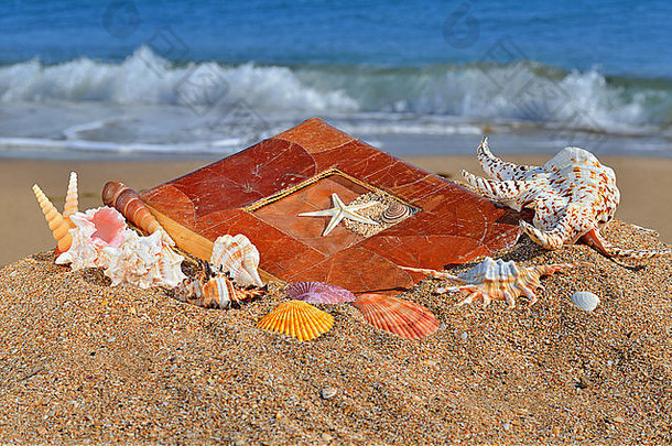 扇贝蛤专辑海滩沙子蓝色的海