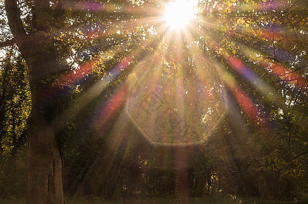 阳光秋天哈拉奇公园奥地利较低的奥地利勃拉克的利莎